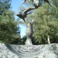 DSC00749